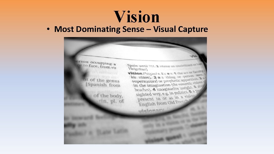 Vision • Most Dominating Sense – Visual Capture 