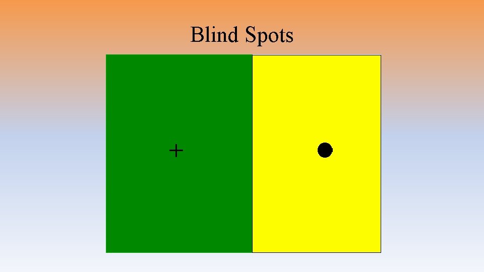 Blind Spots 