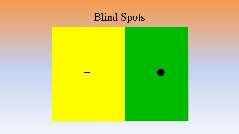 Blind Spots 