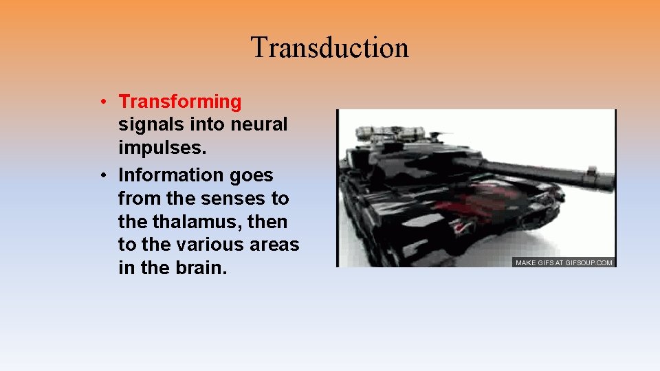 Transduction • Transforming signals into neural impulses. • Information goes from the senses to