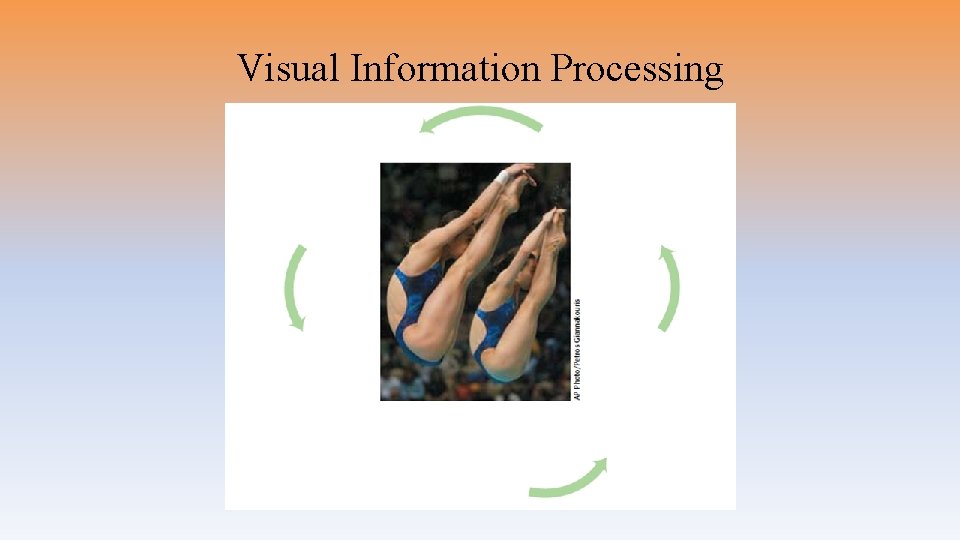 Visual Information Processing 