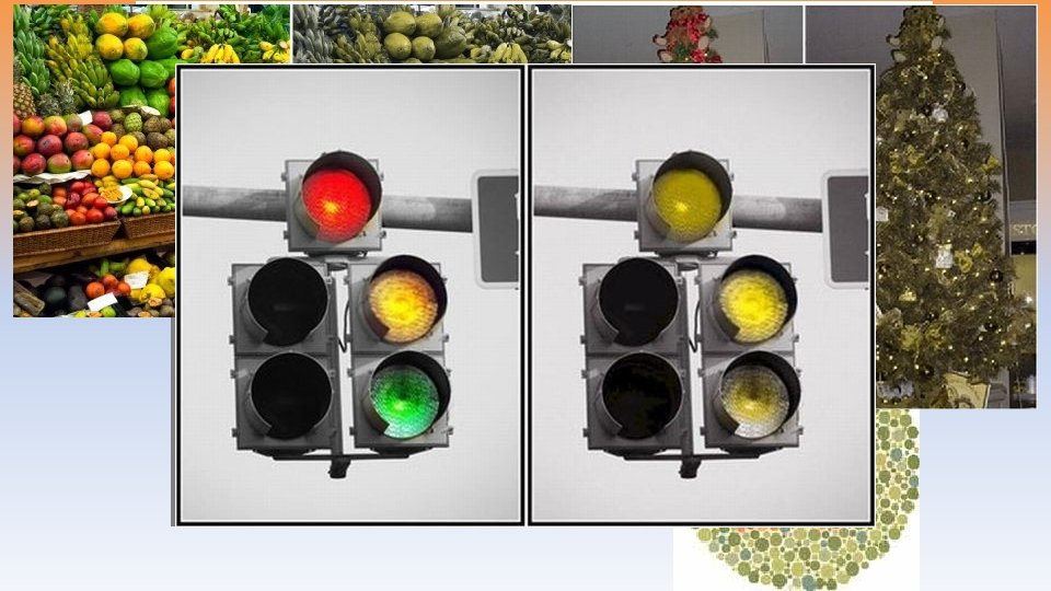 Opponent-Process theory The sensory receptors come in pairs. • Red/Green • Yellow/Blue • Black/White