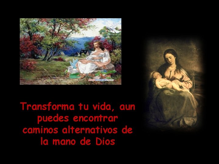 Transforma tu vida, aun puedes encontrar caminos alternativos de la mano de Dios 