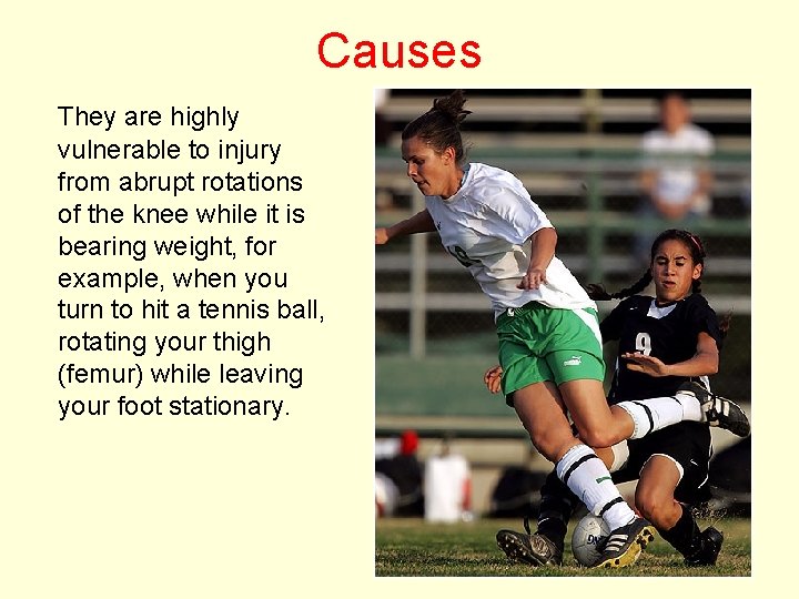 Causes They are highly vulnerable to injury from abrupt rotations of the knee while