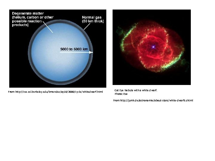 From http: //cse. ssl. berkeley. edu/bmendez/ay 10/2000/cycle/whitedwarf. html Cat Eye Nebula with a white