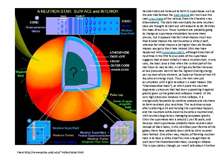 Neutron stars are believed to form in supernovae such as the one that formed