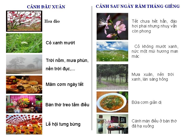 CẢNH ĐẦU XU N Hoa đào Cỏ xanh mướt Trời nồm, mưa phùn, CẢNH CẢNH ĐẦU XU N Hoa đào Cỏ xanh mướt Trời nồm, mưa phùn, CẢNH