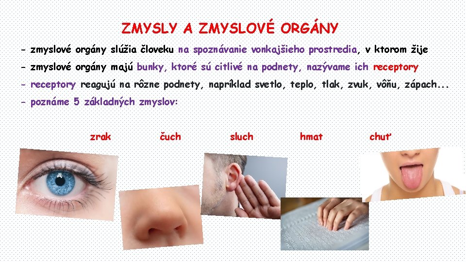 ZMYSLY A ZMYSLOVÉ ORGÁNY - zmyslové orgány slúžia človeku na spoznávanie vonkajšieho prostredia, v