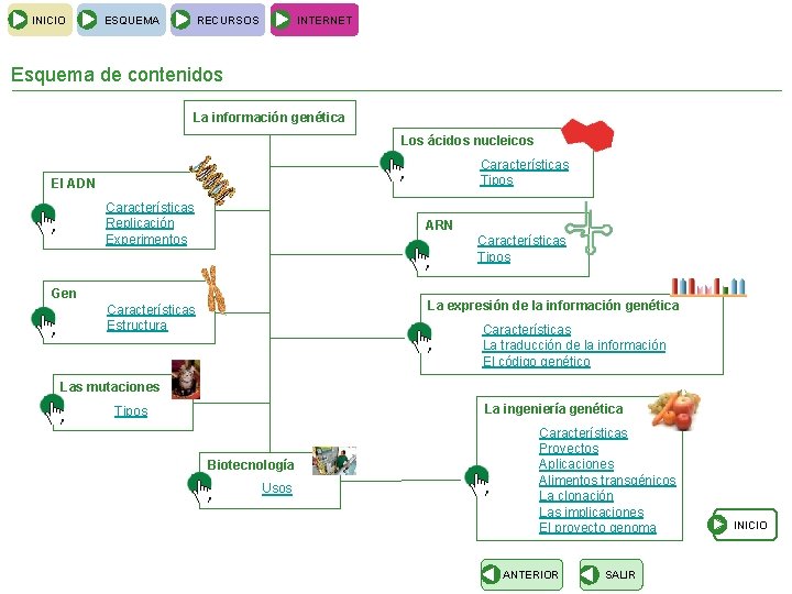 INICIO ESQUEMA RECURSOS INTERNET Esquema de contenidos La información genética Los ácidos nucleicos Características