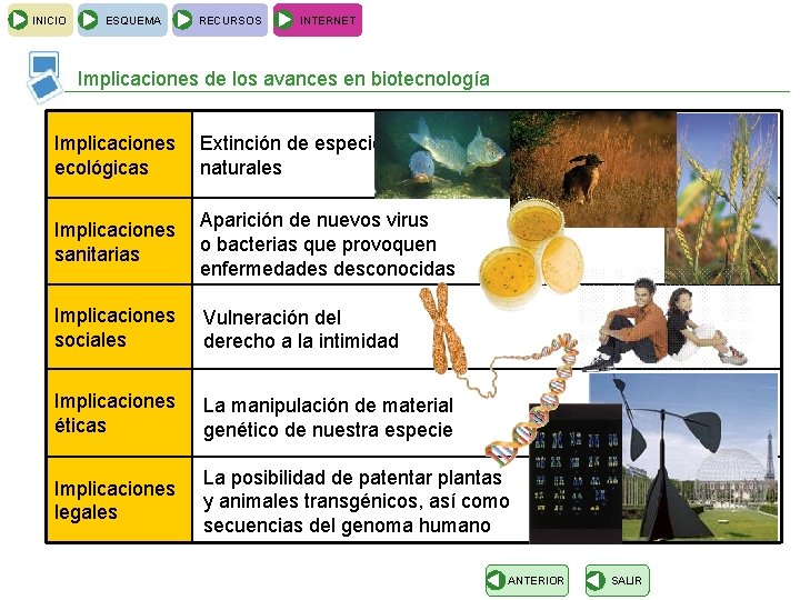 INICIO ESQUEMA RECURSOS INTERNET Implicaciones de los avances en biotecnología Implicaciones ecológicas Extinción de