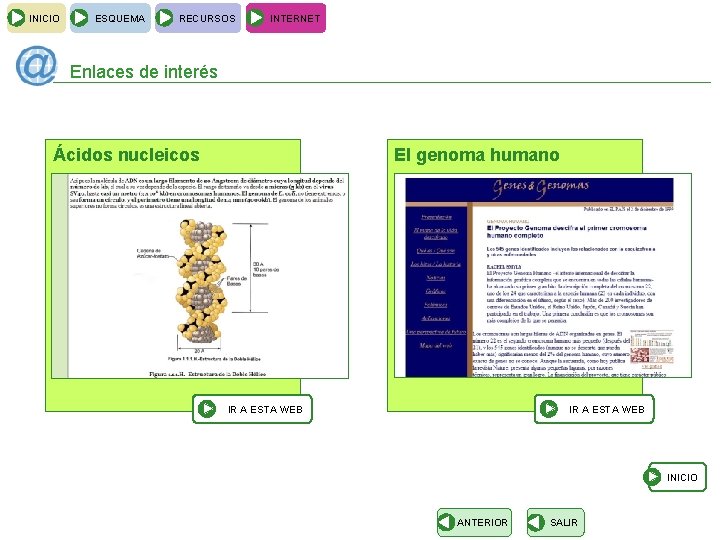 INICIO ESQUEMA RECURSOS INTERNET Enlaces de interés Ácidos nucleicos El genoma humano IR A