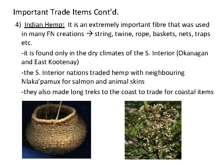 Important Trade Items Cont’d. 4) Indian Hemp: It is an extremely important fibre that