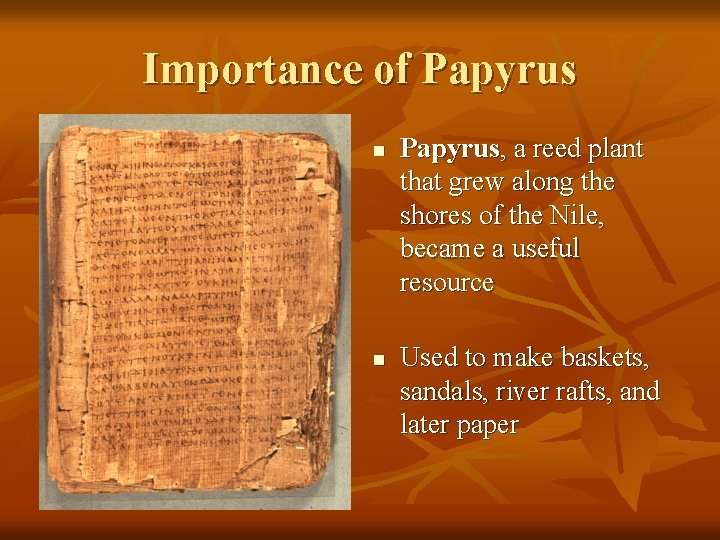 Importance of Papyrus n n Papyrus, a reed plant that grew along the shores