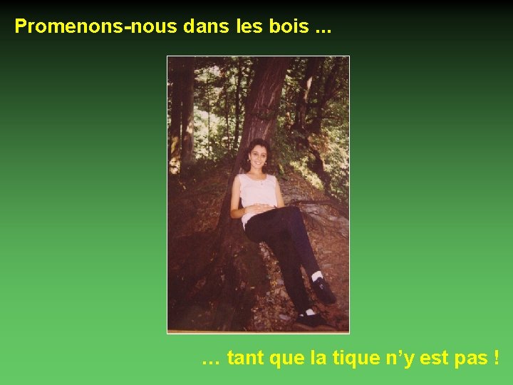 Promenons-nous dans les bois. . . … tant que la tique n’y est pas