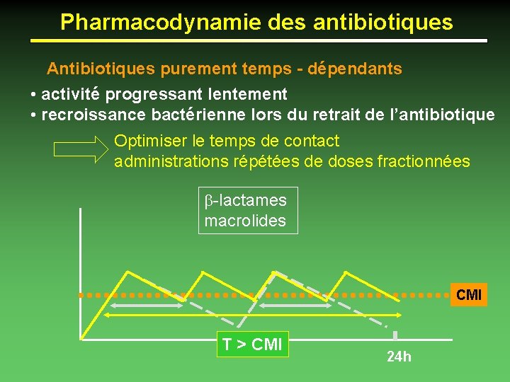 Pharmacodynamie des antibiotiques Antibiotiques purement temps - dépendants • activité progressant lentement • recroissance