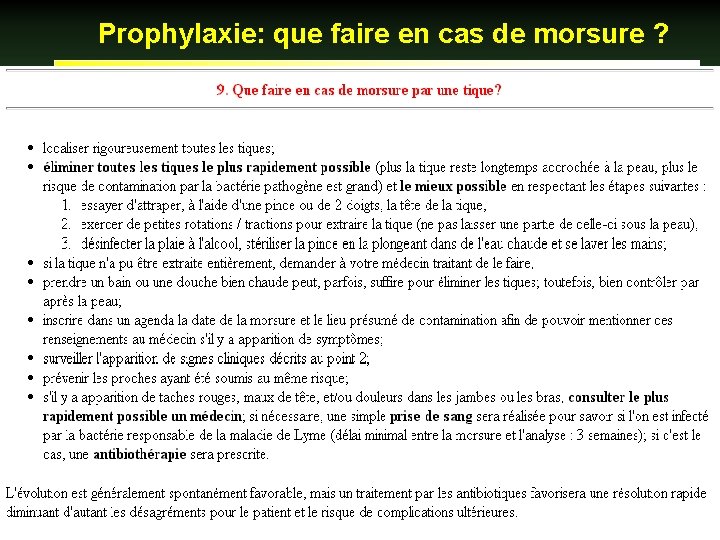 Prophylaxie: que faire en cas de morsure ? 