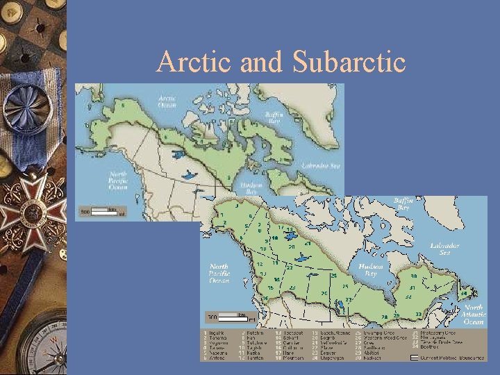 Arctic and Subarctic 