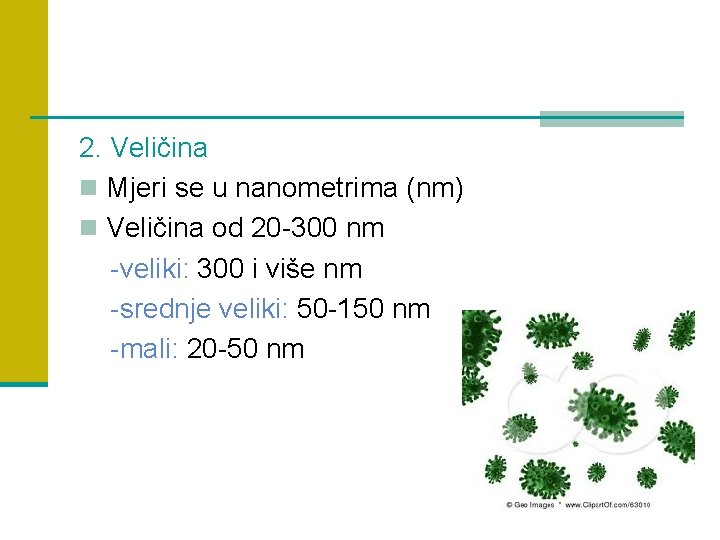 2. Veličina n Mjeri se u nanometrima (nm) n Veličina od 20 -300 nm