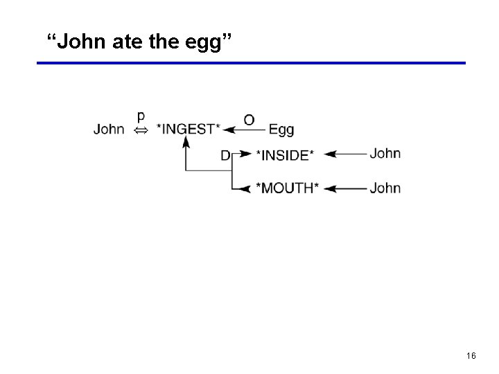“John ate the egg” 16 