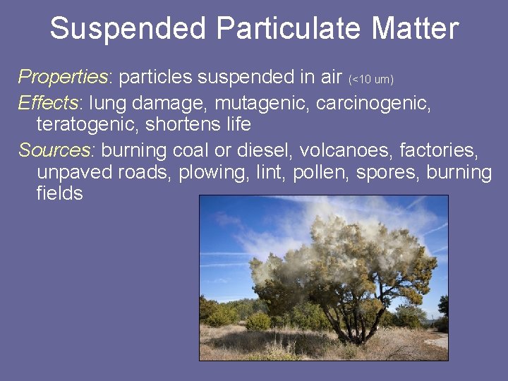 Suspended Particulate Matter Properties: particles suspended in air (<10 um) Effects: lung damage, mutagenic,