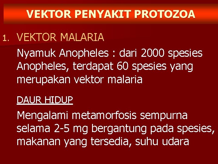 VEKTOR PENYAKIT PROTOZOA 1. VEKTOR MALARIA Nyamuk Anopheles : dari 2000 spesies Anopheles, terdapat