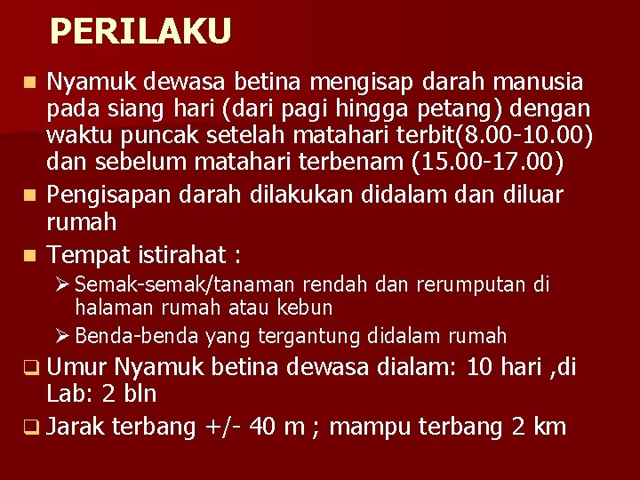 PERILAKU Nyamuk dewasa betina mengisap darah manusia pada siang hari (dari pagi hingga petang)