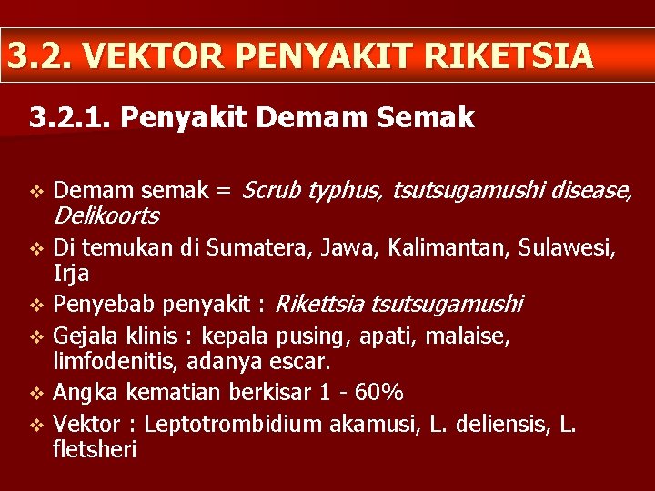 3. 2. VEKTOR PENYAKIT RIKETSIA 3. 2. 1. Penyakit Demam Semak v Demam semak