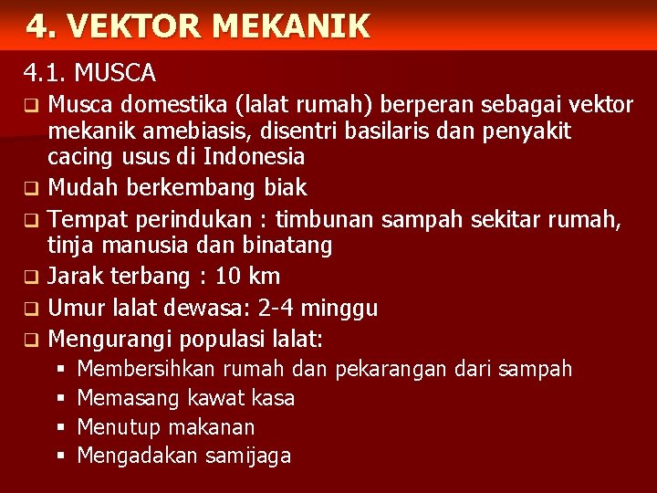 4. VEKTOR MEKANIK 4. 1. MUSCA Musca domestika (lalat rumah) berperan sebagai vektor mekanik