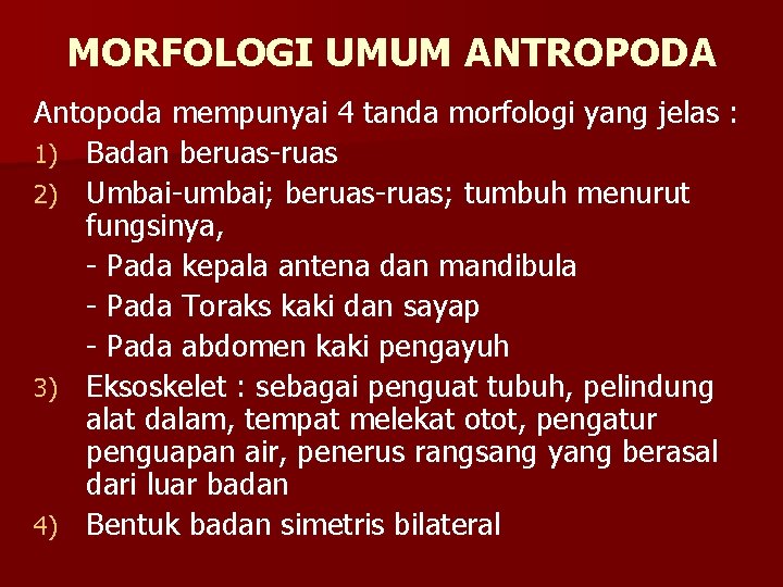 MORFOLOGI UMUM ANTROPODA Antopoda mempunyai 4 tanda morfologi yang jelas : 1) Badan beruas-ruas