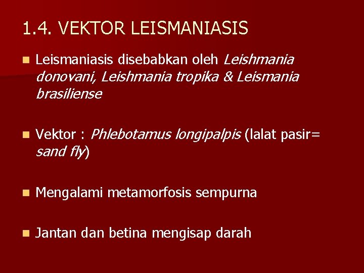 1. 4. VEKTOR LEISMANIASIS n Leismaniasis disebabkan oleh Leishmania n Vektor : Phlebotamus longipalpis