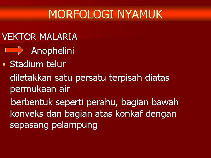 MORFOLOGI NYAMUK VEKTOR MALARIA Anophelini § Stadium telur diletakkan satu persatu terpisah diatas permukaan