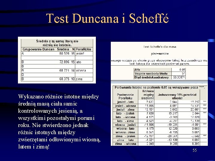 Test Duncana i Scheffé Wykazano różnice istotne między średnią masą ciała samic kontrolowanych jesienią,