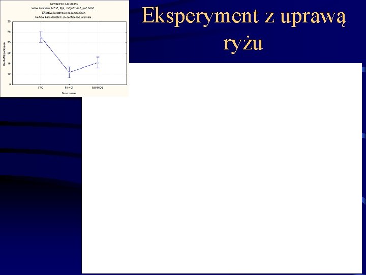 Eksperyment z uprawą ryżu 72 