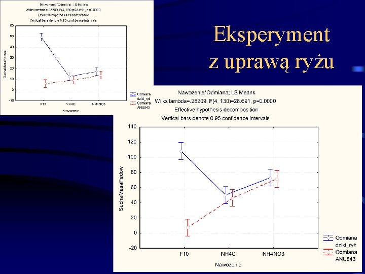 Eksperyment z uprawą ryżu 74 