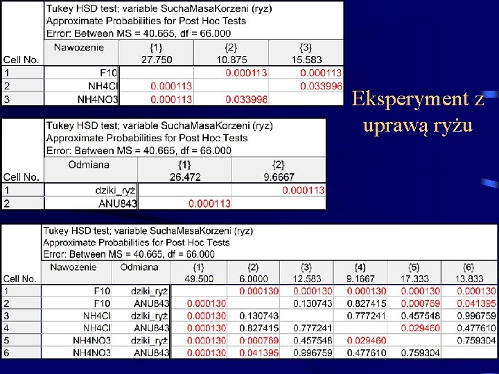 Eksperyment z uprawą ryżu 76 