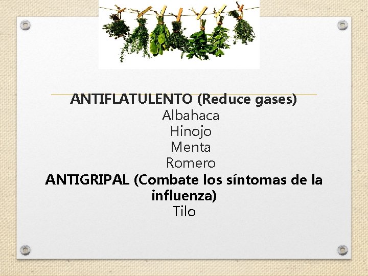 ANTIFLATULENTO (Reduce gases) Albahaca Hinojo Menta Romero ANTIGRIPAL (Combate los síntomas de la influenza)
