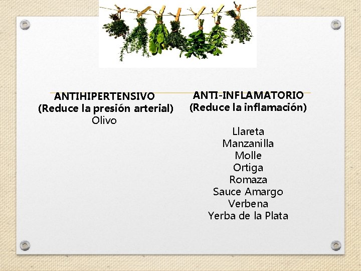 ANTIHIPERTENSIVO (Reduce la presión arterial) Olivo ANTI-INFLAMATORIO (Reduce la inflamación) Llareta Manzanilla Molle Ortiga