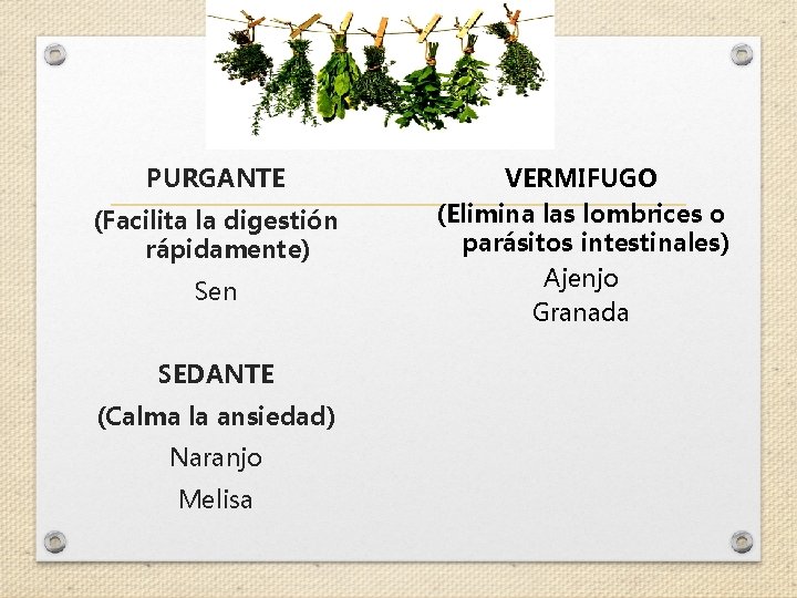 PURGANTE (Facilita la digestión rápidamente) Sen SEDANTE (Calma la ansiedad) Naranjo Melisa VERMIFUGO (Elimina