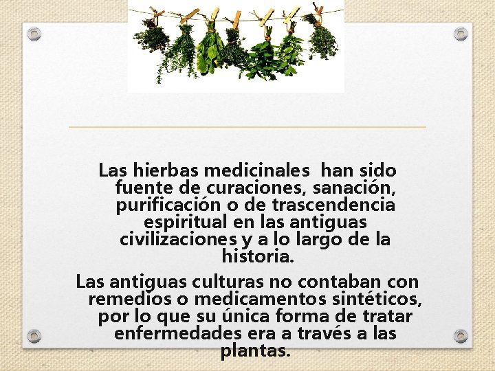 Las hierbas medicinales han sido fuente de curaciones, sanación, purificación o de trascendencia espiritual