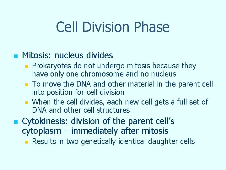 Cell Division Phase n Mitosis: nucleus divides n n Prokaryotes do not undergo mitosis Cell Division Phase n Mitosis: nucleus divides n n Prokaryotes do not undergo mitosis