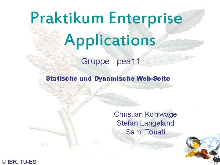 Praktikum Enterprise Applications Gruppe : pea 11 Statische und Dynamische Web-Seite Christian Kohlwage Stefan