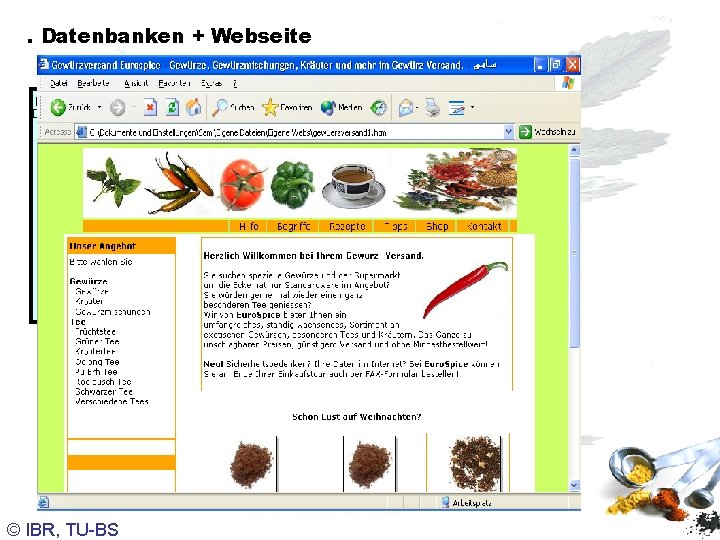 . Datenbanken + Webseite protected void Page_Load(Object sender, Event. Args e) IData. Reader reade;