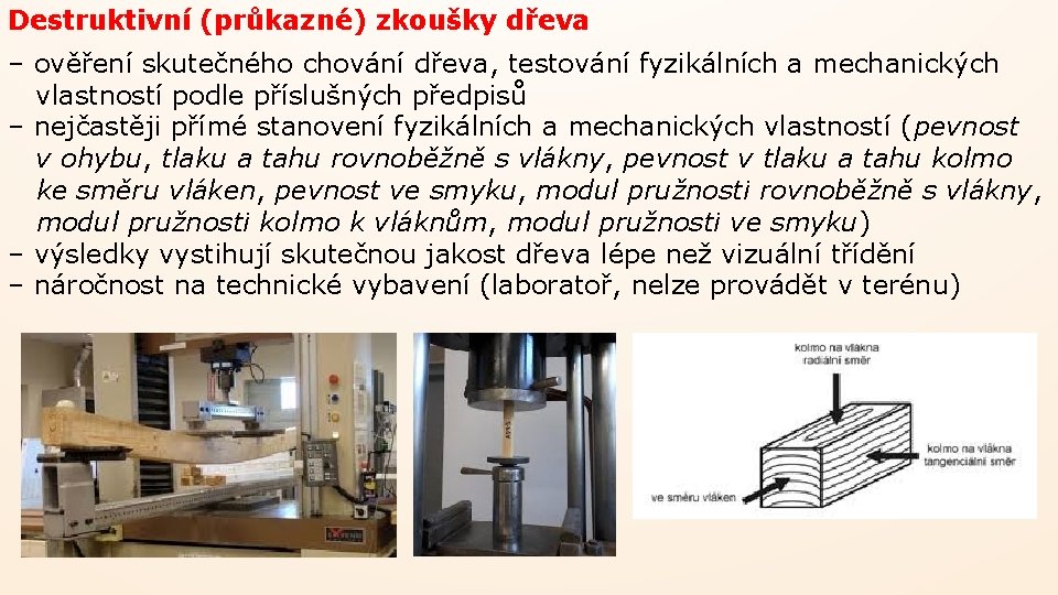 Destruktivní (průkazné) zkoušky dřeva – ověření skutečného chování dřeva, testování fyzikálních a mechanických vlastností