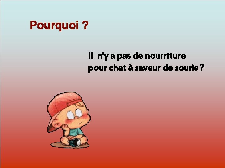 Pourquoi ? Il n'y a pas de nourriture pour chat à saveur de souris