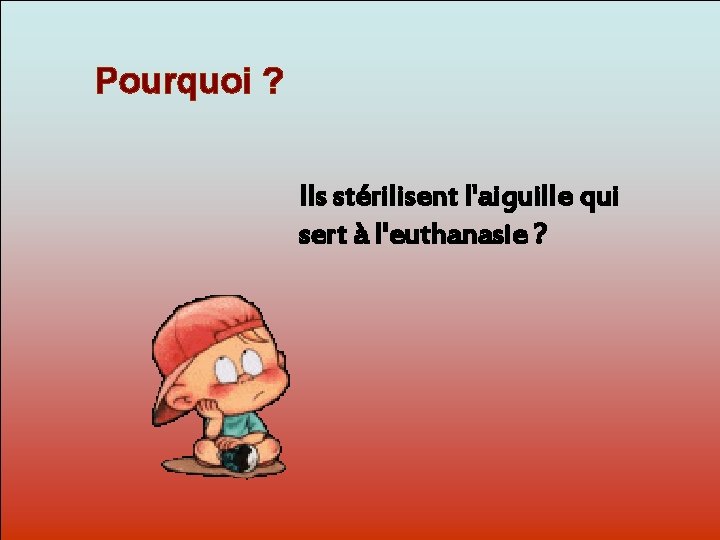 Pourquoi ? Ils stérilisent l'aiguille qui Dit-moi sert. Pourquoi? à l'euthanasie ? 