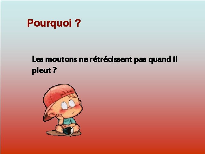 Pourquoi ? Les moutons ne rétrécissent pas quand il Pourquoi? pleut Dit-moi ? 