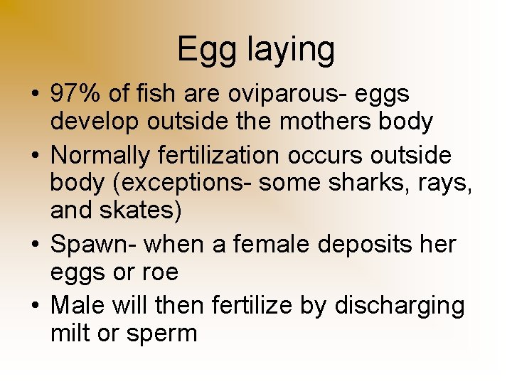 Egg laying • 97% of fish are oviparous- eggs develop outside the mothers body