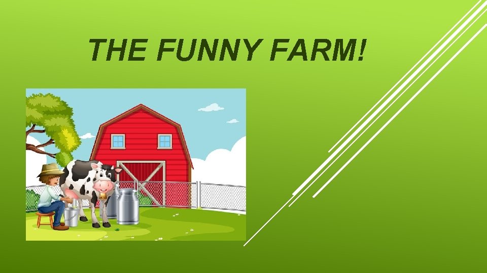 THE FUNNY FARM! 