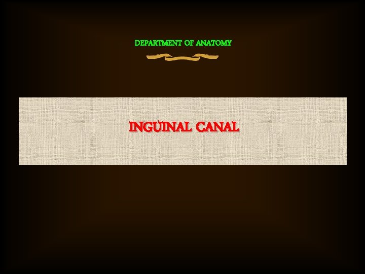 DEPARTMENT OF ANATOMY INGUINAL CANAL 