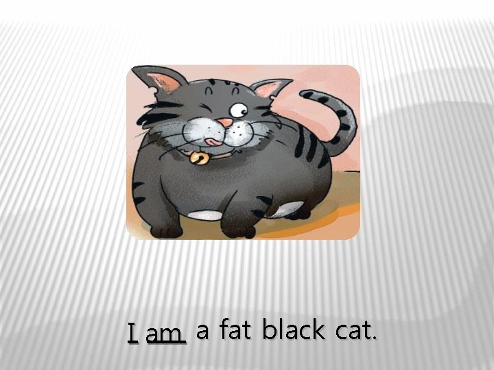 I am a fat black cat. 